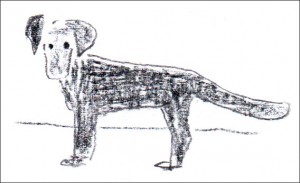 tonisenior